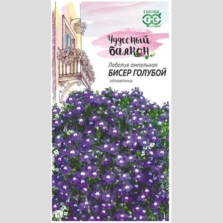 Лобелия Бисер голубой ампельная