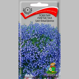 Лобелия Сине-белый фонтан плетистая