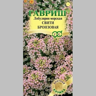 Лобулярия Свити бронзовая