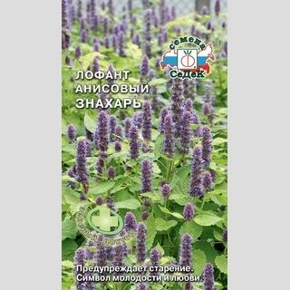Лофант Знахарь анисовый