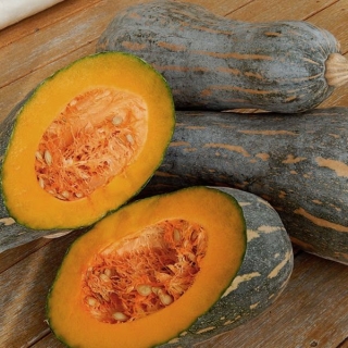 Тыква Long of Naples мускатная (большой пакет)