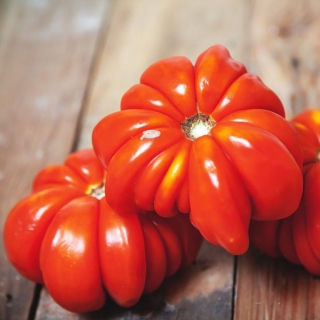 Томат Лотарингская красавица красная