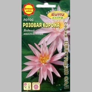 Лотос Розовая Корона