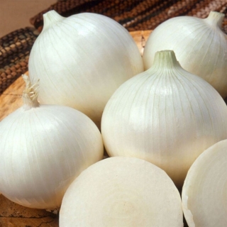 Лук Альба F1 репчатый