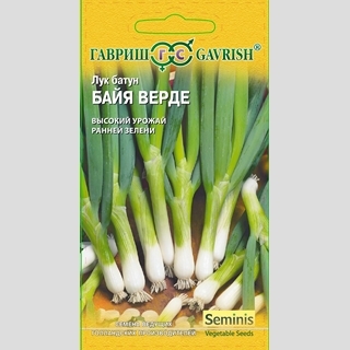 Лук Байя Верде батун