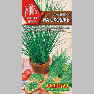 Лук На окошке (батун)