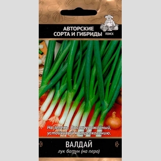 Лук Валдай батун