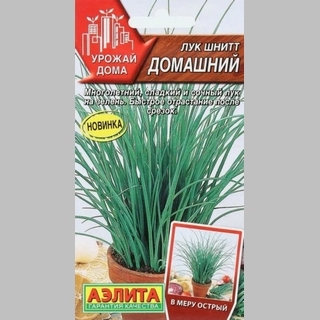 Лук Домашний (шнитт)