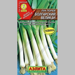 Лук Болгарский великан порей