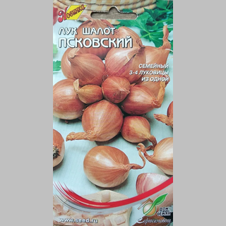Лук Псковский шалот
