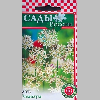 Лук рамозум