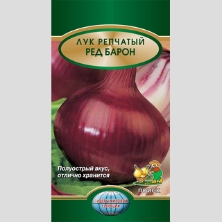 Лук Ред Барон (репчатый)