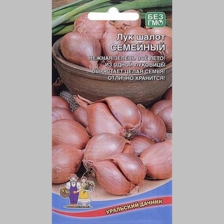 Лук Семейный шалот