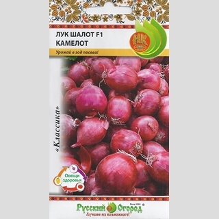 Лук Камелот F1 шалот