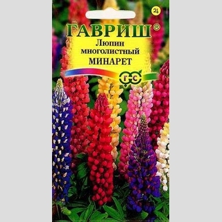 Люпин Минарет низкорослый смесь