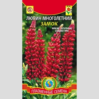 Люпин Замок