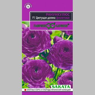 Лютик Цветущая долина фиолетовая F1 (Ранункулюс)