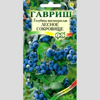 Голубика Лесное сокровище высокорослая
