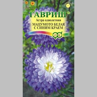 Астра Мацумото Белая с синим краем
