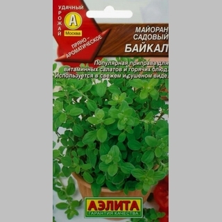 Майоран Байкал
