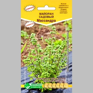 Майоран Массандра садовый