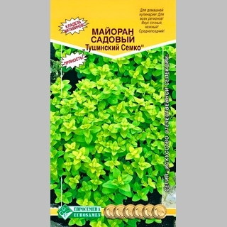 Майоран Тушинский Семко садовый