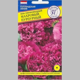 Мак Махровый Пурпурный пионовидный