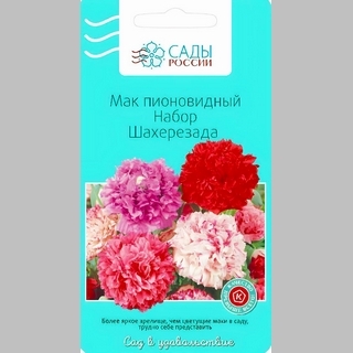 Мак Шахерезада пионовидный набор