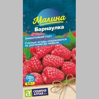 Малина Барнаулка красная