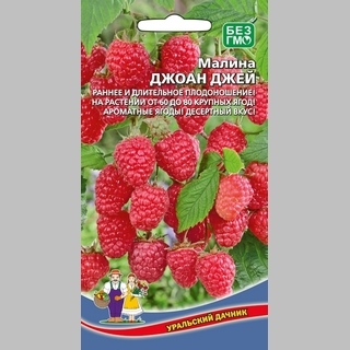 Малина Джоан Джей