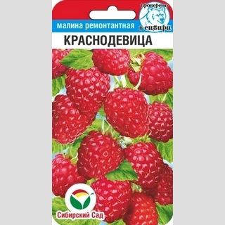 Малина Краснодевица