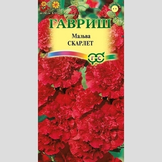 Мальва Скарлет