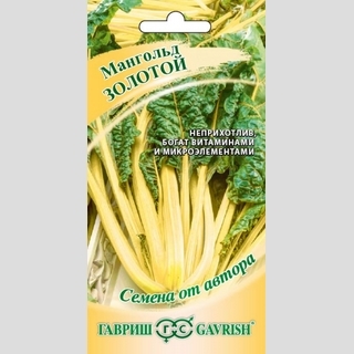 Мангольд Золотой