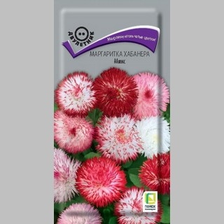 Маргаритка Хабанера Микс