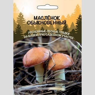 Грибы - Масленок Обыкновенный (мицелий) 30мл (большой пакет)