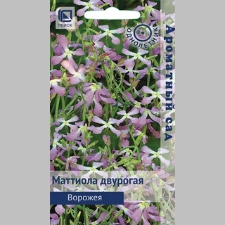 Маттиола Ворожея (двурогая)