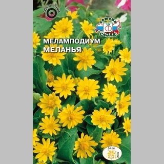 Меламподиум Меланья