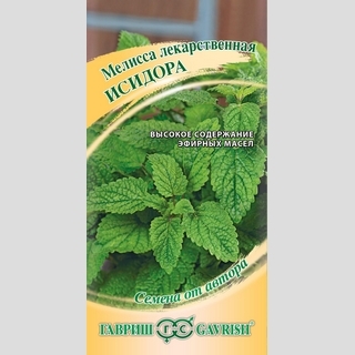 Мелисса Исидора лекарственная