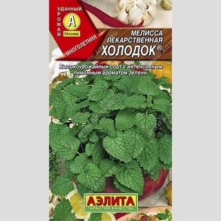 Мелисса Холодок