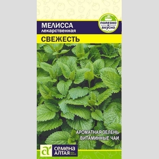 Мелисса Свежесть (лекарственная)