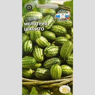 Мелотрия Шапито шершавая