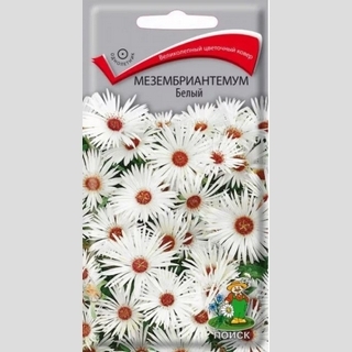 Мезембриантемум Белый