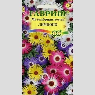 Мезембриантемум Лимпопо хрустальный