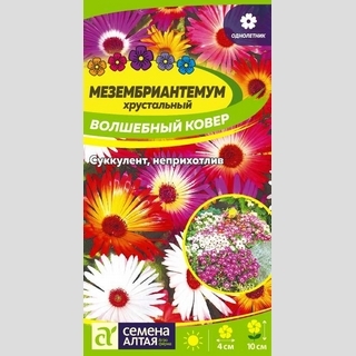 Мезембриантемум Волшебный ковер