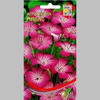 Агростемия Милас