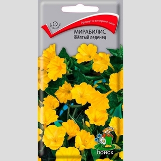 Мирабилис ялапа Жёлтый леденец