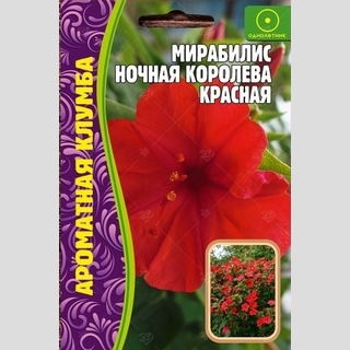 Мирабилис Ночная Королева Красная (большой пакет)