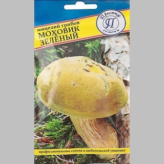Грибы - Моховик зелёный 60 мл (мицелий)