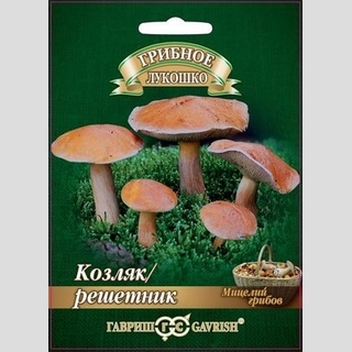 Грибы - Козляк Решетник на зерновом субстрате (мицелий) 15 мл (большой пакет)