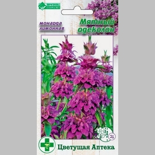 Монарда Мятный одеколон лимонная